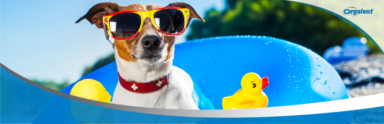 como proteger os olhos no verão